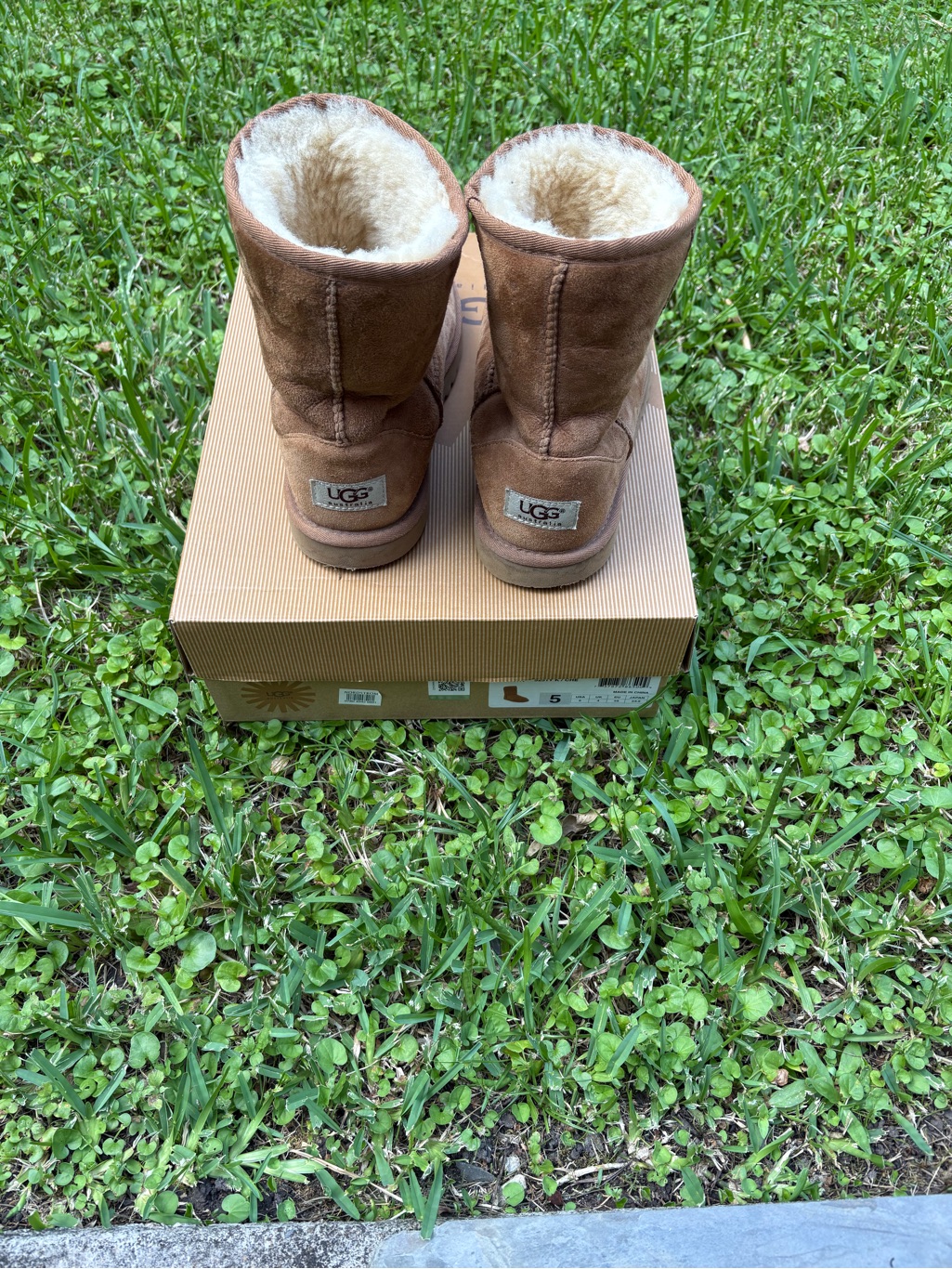 Ugg Woman Classic Short Ii Boots Sz 5 Preowned
